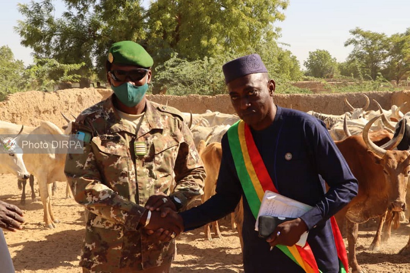 Sokolo : Le GTIA Keletigui 1 de l’opération « Maliko » récupère des bœufs